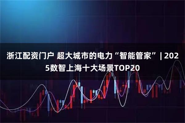 浙江配资门户 超大城市的电力“智能管家” | 2025数智上海十大场景TOP20